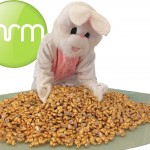 What #WheresWabbit Is Weally All About